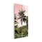 Stupell Industries Rainforest Palm on Pink Wall Plaque, design by Natalie Carpentieri